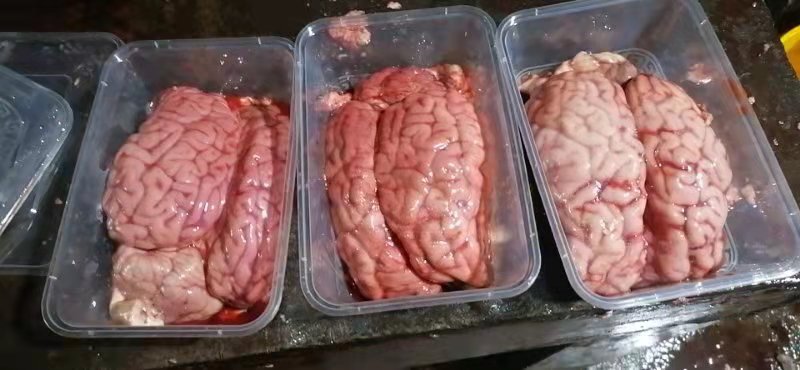 怀化牛脑