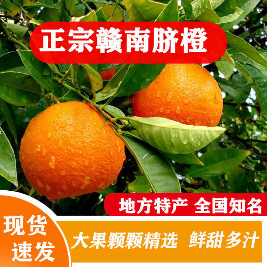 瑞金市赣南脐橙产地直销，富含多种维生素