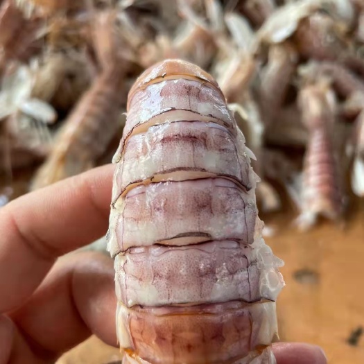 北海皮皮虾，经济实惠，质量很好，合适大排档，餐厅，饭店