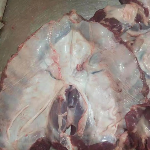 猪肉类  母猪护心肉