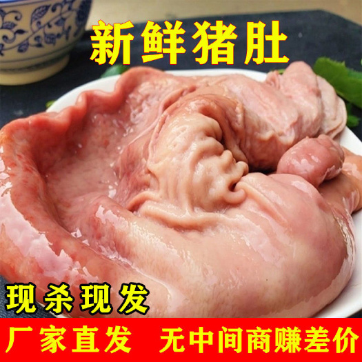 新鲜猪肚子土猪肚黑猪肚土猪肉猪胃生鲜猪肉内脏生肚生冷冻猪肚