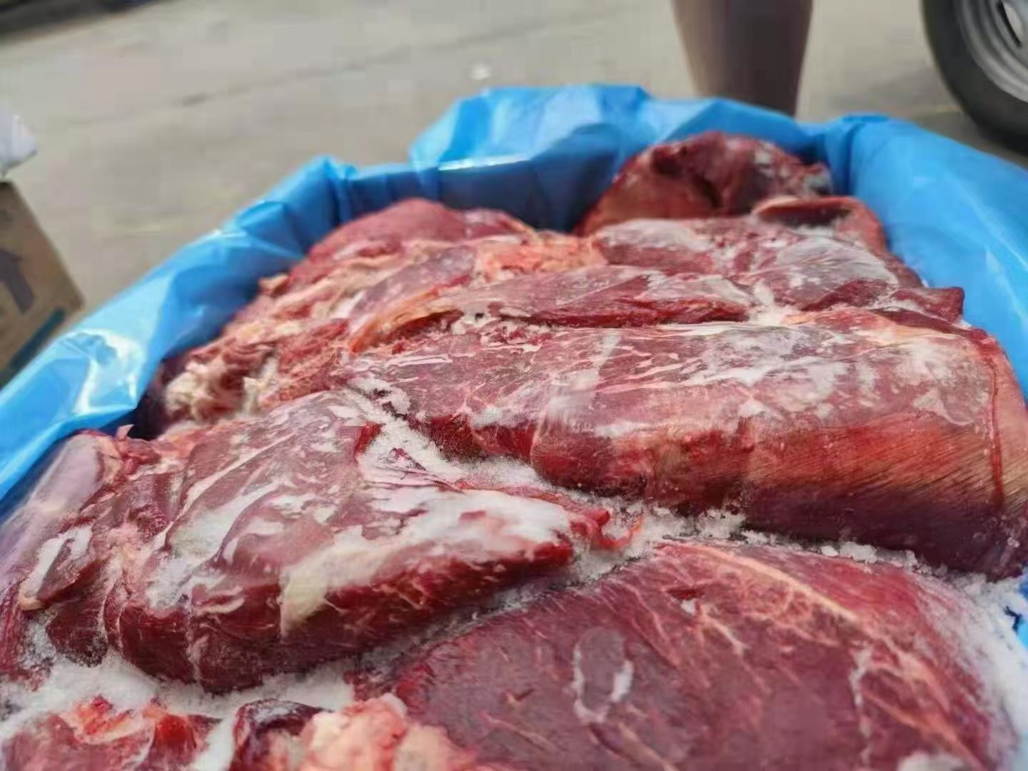 鲜冻牛肉，牛前块型大，适合各种餐饮食材