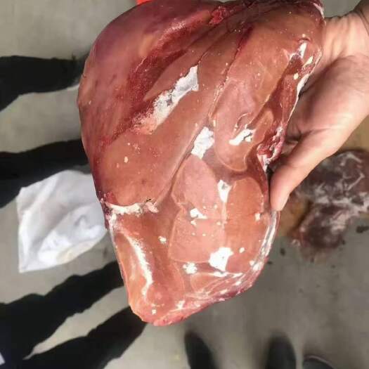 郑州羊杂  羊肝