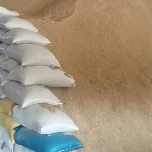 籼稻谷  中晚籼稻