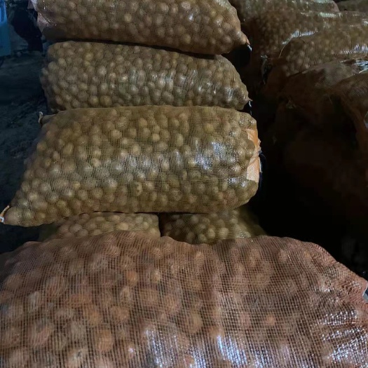 呼伦贝尔迷你土豆  一两以下小土豆