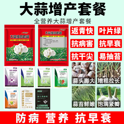 周口大蒜套餐  大蒜专用高产套餐增产治病全治绣病黄叶病杀菌防病膨