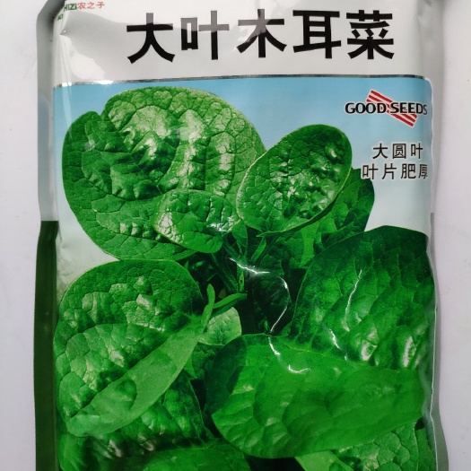 大叶木耳菜种子，500克，该品种叶片肥厚，耐抽苔。株高约14