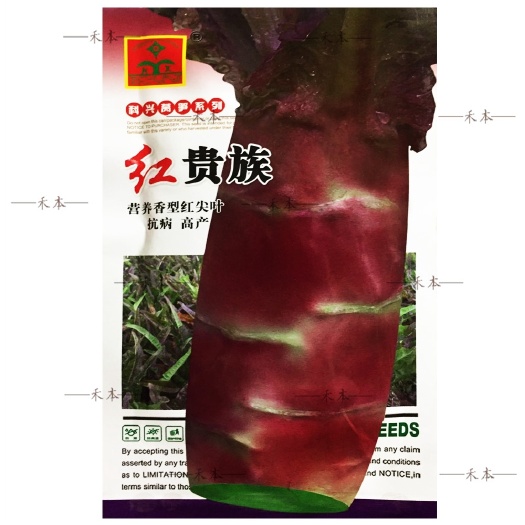 科兴红贵族莴笋种子，30克，中熟，是越冬、早春用尖叶型优良品
