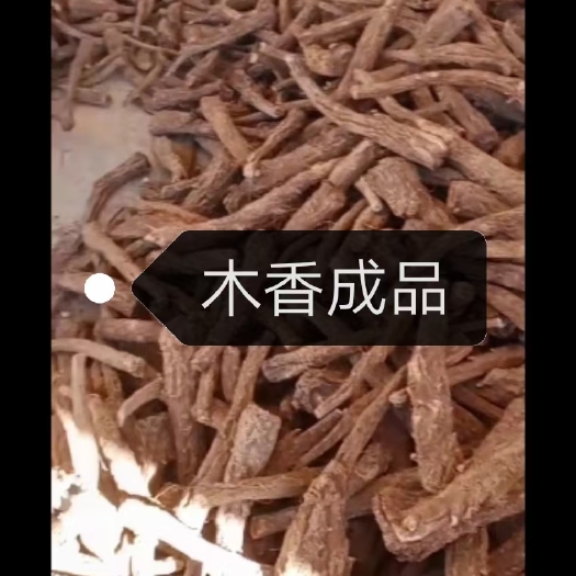 维西县 云木香成品干货
