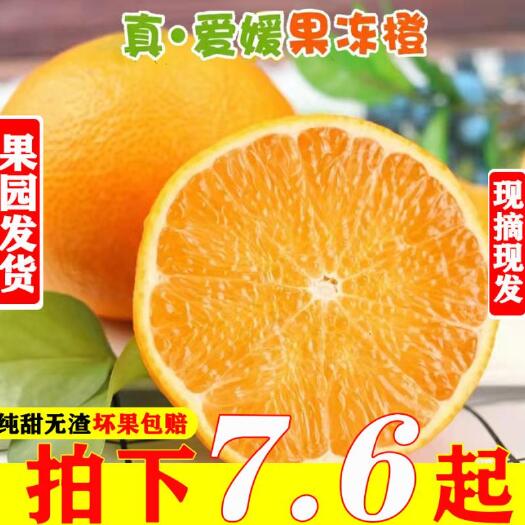 昆明甜橙 四川爱媛38号果冻橙9斤橙子新鲜水果当季柑橘蜜桔子包邮