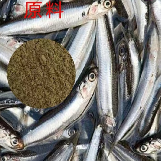 北京鱼粉 鸽子 