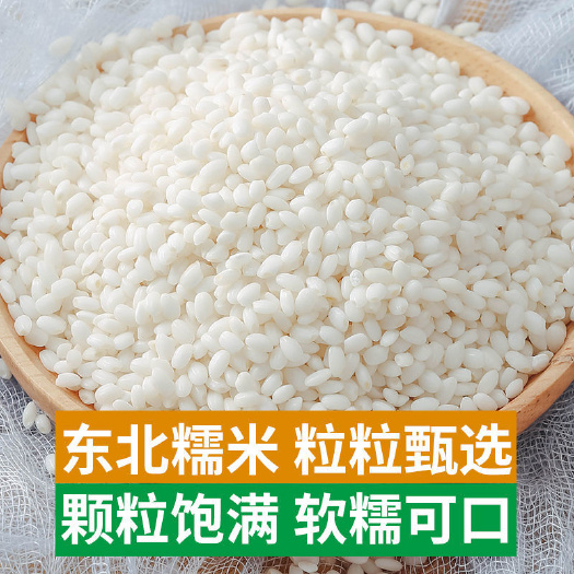 哈尔滨东北糯米10斤香糯米江米粘糯米包粽子圆粒糯米酿酒糍粑专用5斤