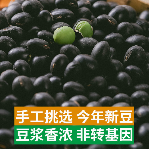 密山市青仁黑豆 东北黑豆5斤包邮绿芯黑豆醋泡煮粥打豆浆发豆芽10斤