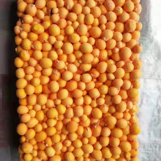 沂南县鸡蛋黄