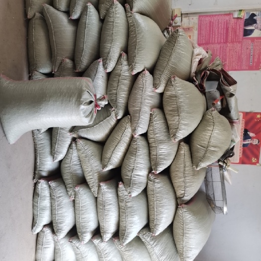 社旗县黄大豆 黄豆