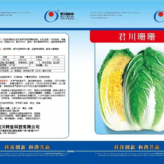 郑州黄心白菜种子  大白菜