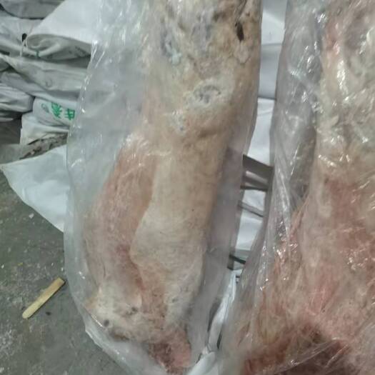 西宁羊肉  国储羊酮体