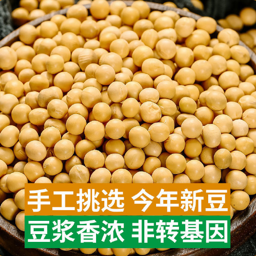 哈尔滨大豆  黑龙江5斤黄豆农家自产大黄豆五谷杂粮豆类豆浆生豆芽黄