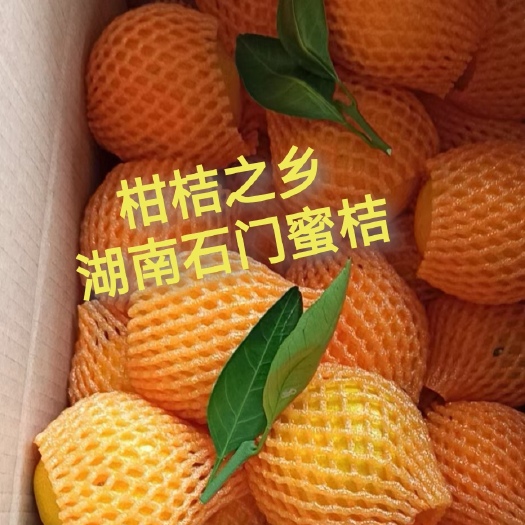 湖南石门蜜桔 中国柑桔之乡 自家种植  口感甘甜  皮薄多汁