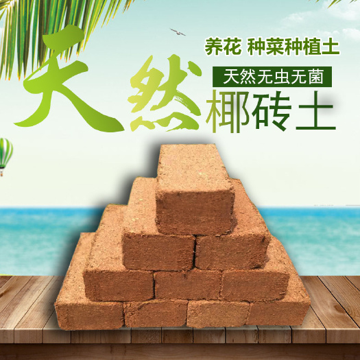 沭阳县椰粉椰砖椰糠椰土兰花土营养土无土栽培宠物垫材种菜泥土