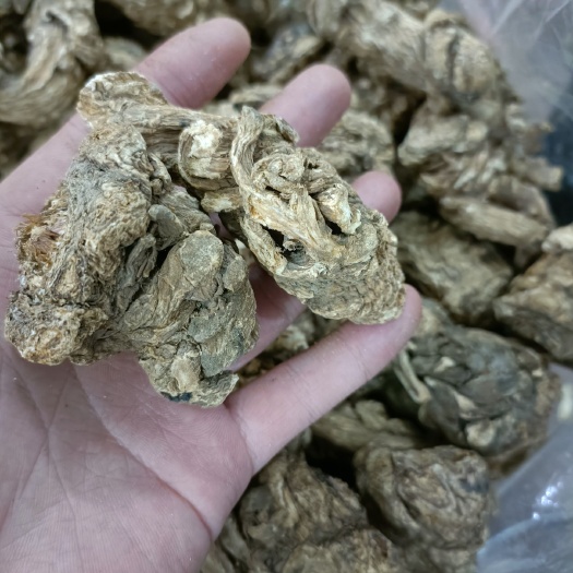 广州云当归 当归头15头