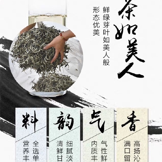 昆明新白茶21年云南普洱茶农直销头春大叶茶乔木月光美人1斤