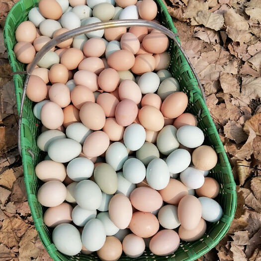 土鸡蛋农家散养新鲜纯农村自养天然40枚草鸡蛋笨鸡蛋乌绿壳