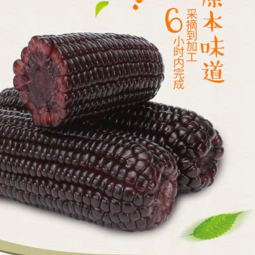 宿州好吃的黑糯玉米，真空包装，代餐