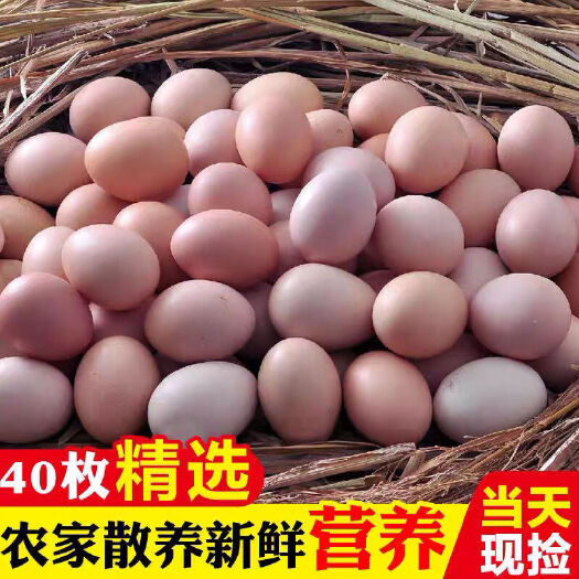 农村自养谷物鸡蛋新鲜40枚家乡蛋五谷喂养鸡蛋整箱批发