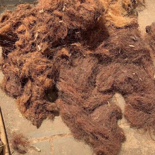 罗平县玉米须毛货供应，质量优质。无硫，