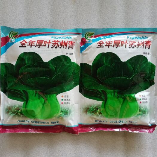 祁阳市苏州青白菜种子 原包装全年厚叶苏州青种子耐湿耐高温耐拍苔净含量500克