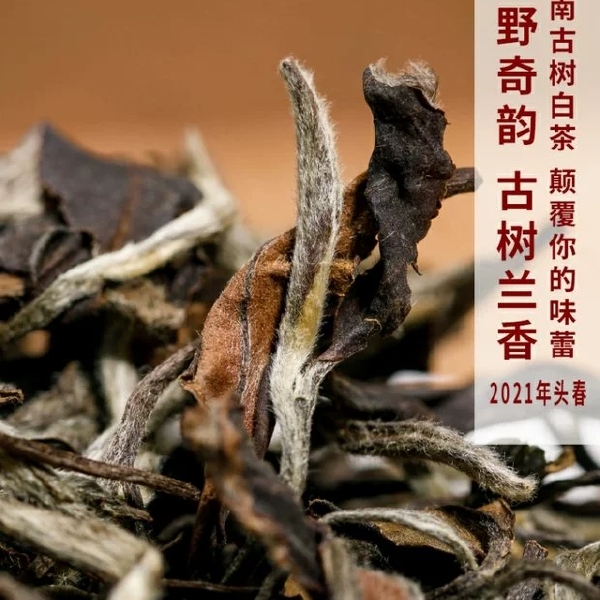 三年老白茶云南古树白茶花香沉香茶农自产自销一斤装