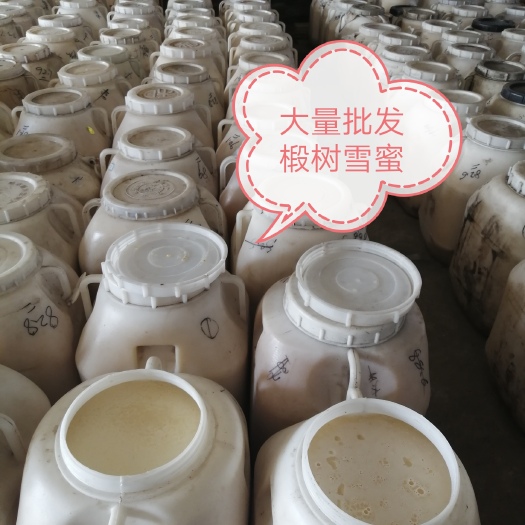宝清县 本人大量批发椴树蜜，吨价优惠，保证质量浓度在40.5度到42