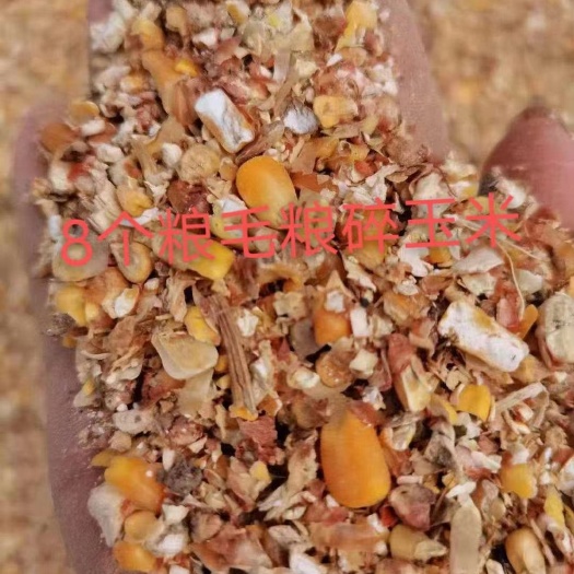 郓城县膨化玉米  净粮毛粮碎玉米，鸡鸭鹅牛羊料，价格便宜  降低养殖成分