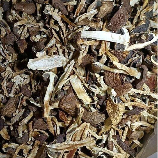  赤松茸松茸大球盖菇干片带皮小片