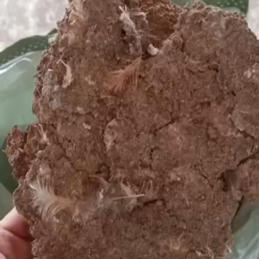 翁源县 专业出售新鲜谷壳鸡粪，粉状，块状的都有，