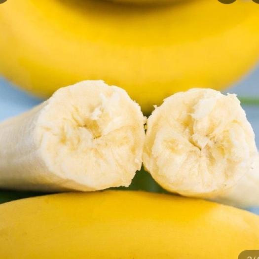 长沙小米蕉 广东香蕉