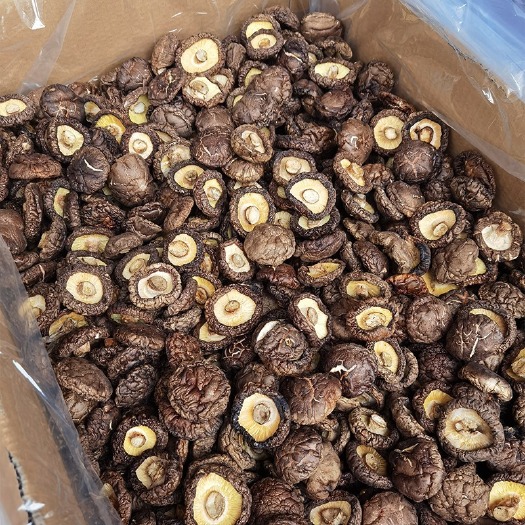 光面菇 香菇干货批发干香菇批发椴木野生新鲜蘑菇煲汤冬菇花
