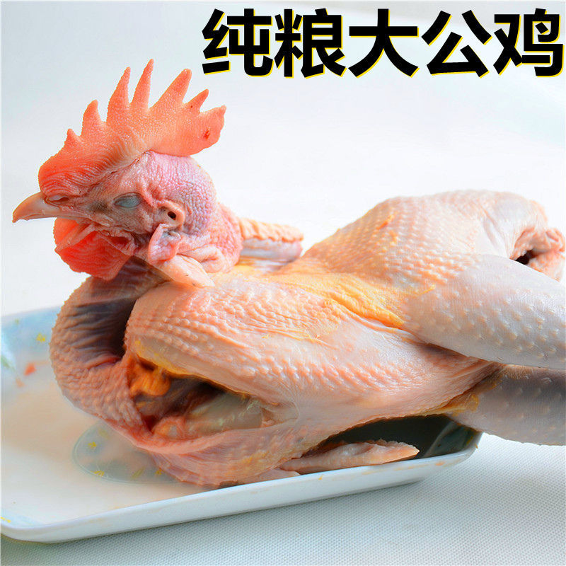 【纯粮大公鸡/包邮】超大土公鸡散养笨公鸡土鸡走地草鸡整鸡肉类