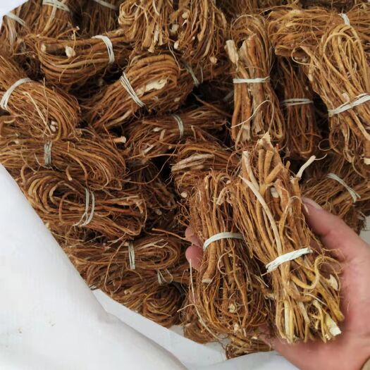 玉林五指毛桃，精品五指，走大货，做批发各种规格都有，看好再下单