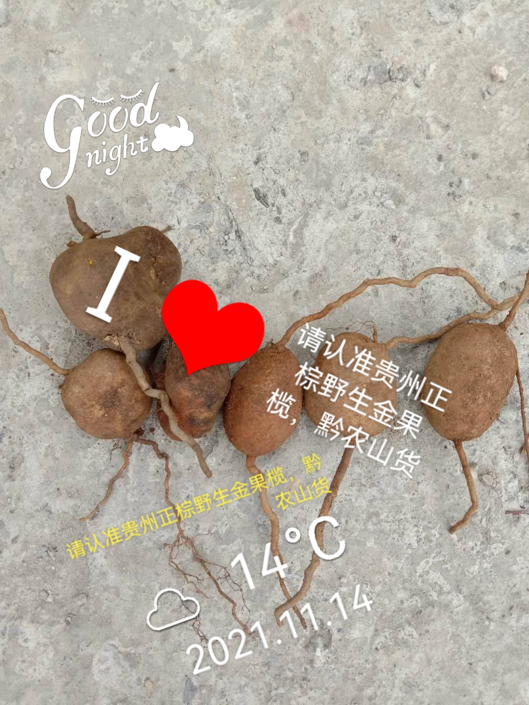 黎平县山上刚刚挖过来的金果榄，青牛胆，九牛胆，地苦胆，山慈菇