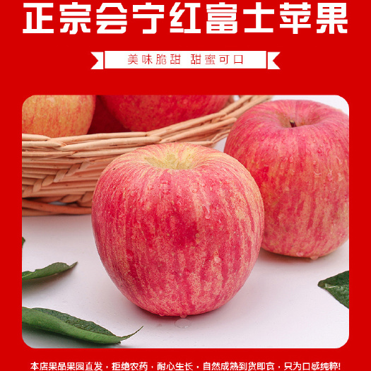 红富士苹果  会宁冰糖心红富士