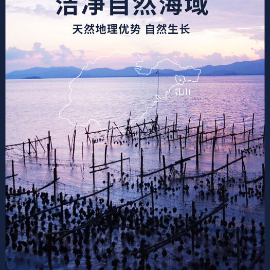 乳山市乳山生蚝