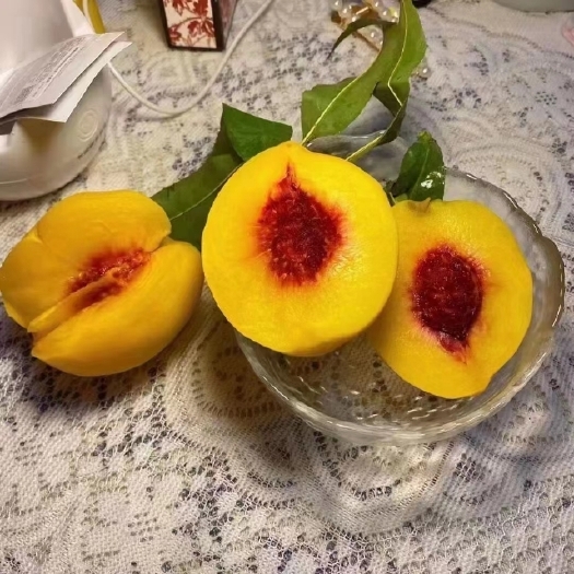 炎陵县中果10斤炎陵黄桃湖南十之一
