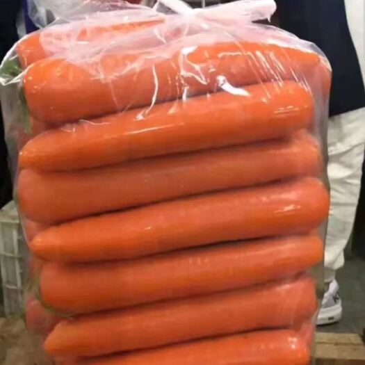 开封萝卜上市，欢迎大家前来选购