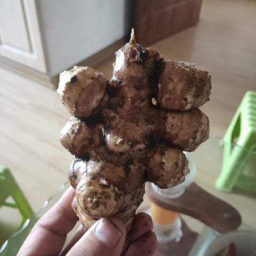 大连生姜 鬼姜