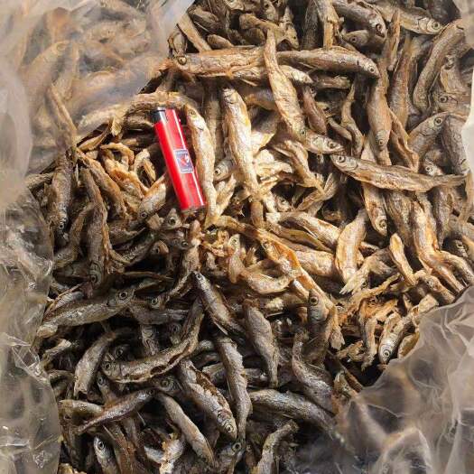 河源 鱼干