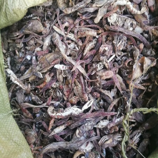 北京鱼粉 鸡 鸭 鹅 猪 鱼 虾  鹌鹑 