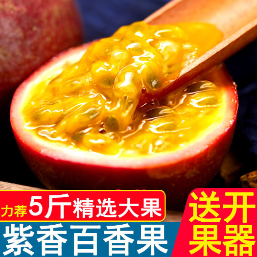邵武市紫香一号百香果  福建西番莲鸡蛋果紫皮百香果净重5斤大果 现摘新鲜包邮一件代发