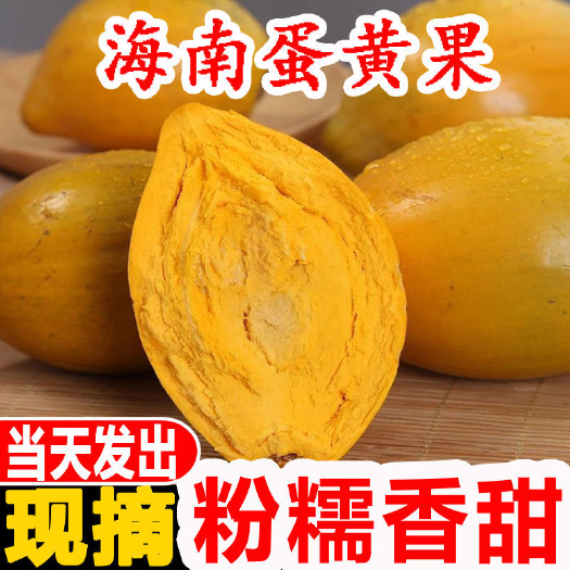 南宁鸡蛋果熟果蛋黄海南正宗热带应季水果批发蛋黄果新鲜当季云南特产